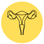 Endometriosis & Adenomyosis